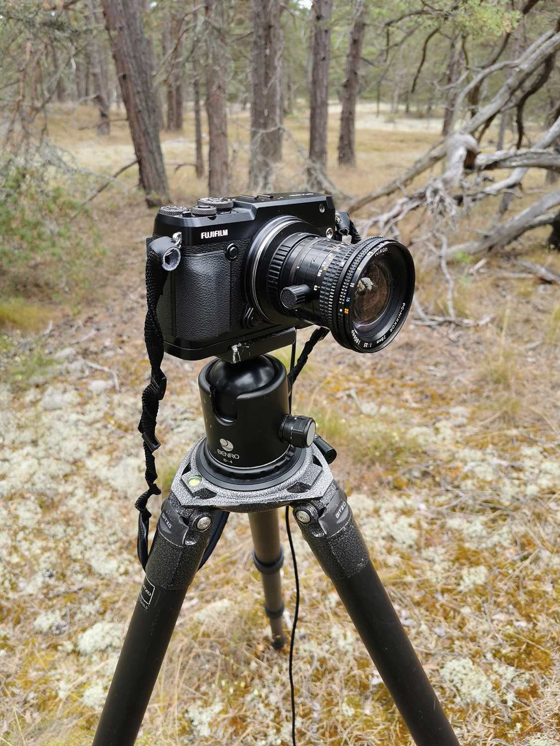 best adapted lenses for fuji gfx