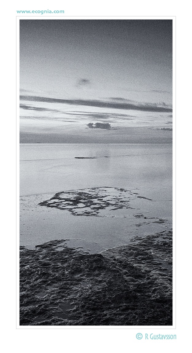 Oland-13_12.jpg
