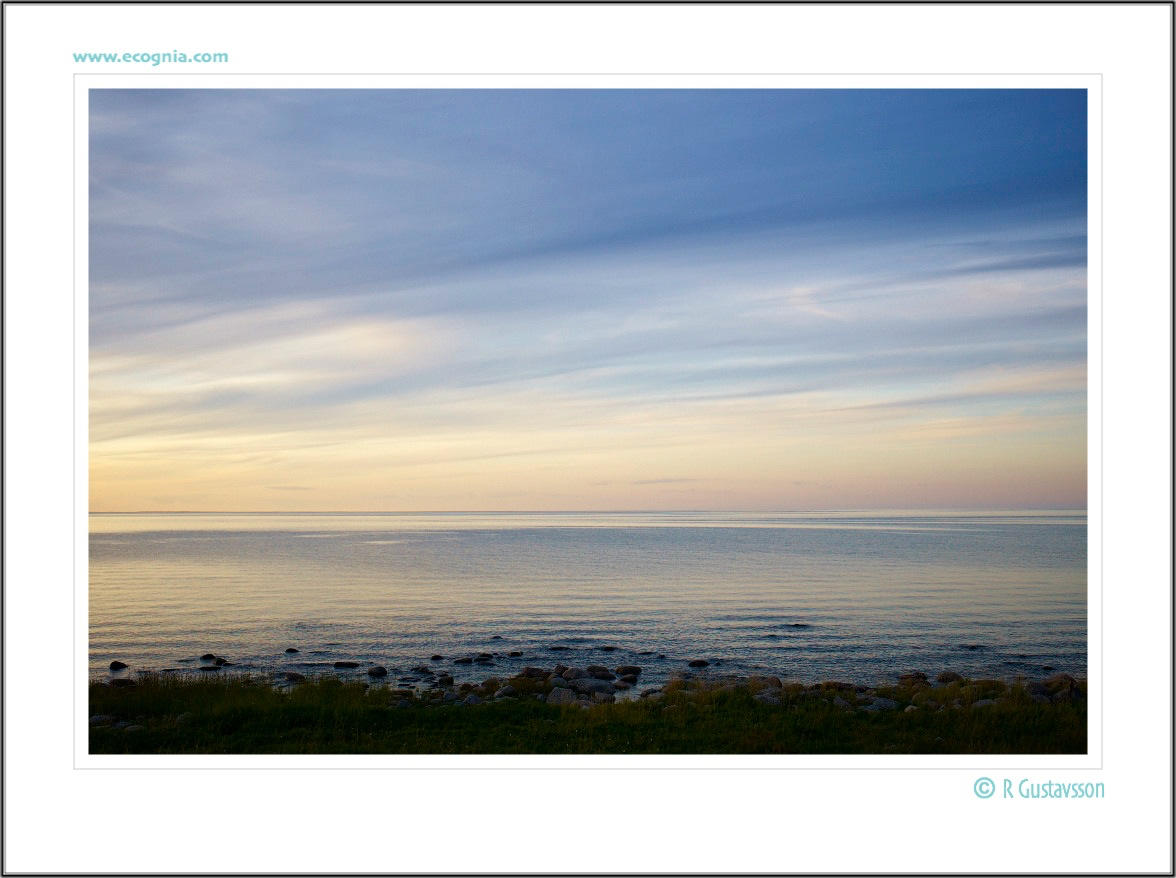 Öland_5_.jpg