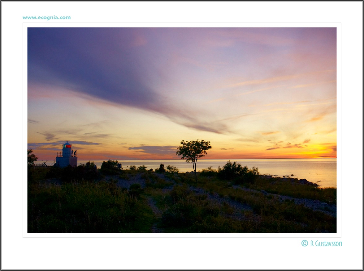 Öland_6_.jpg