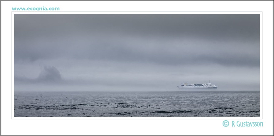 Öland_11_.jpg