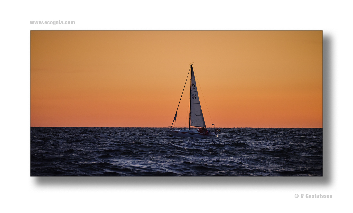 Öland_2020_3.jpg