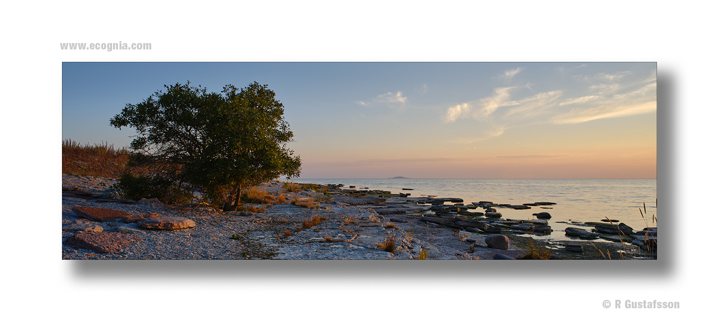 Öland_2020_6.jpg
