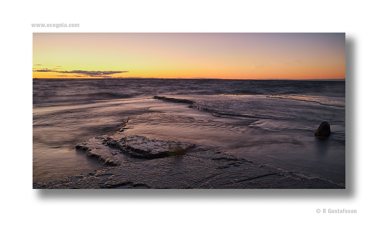 Öland_2020_8.jpg