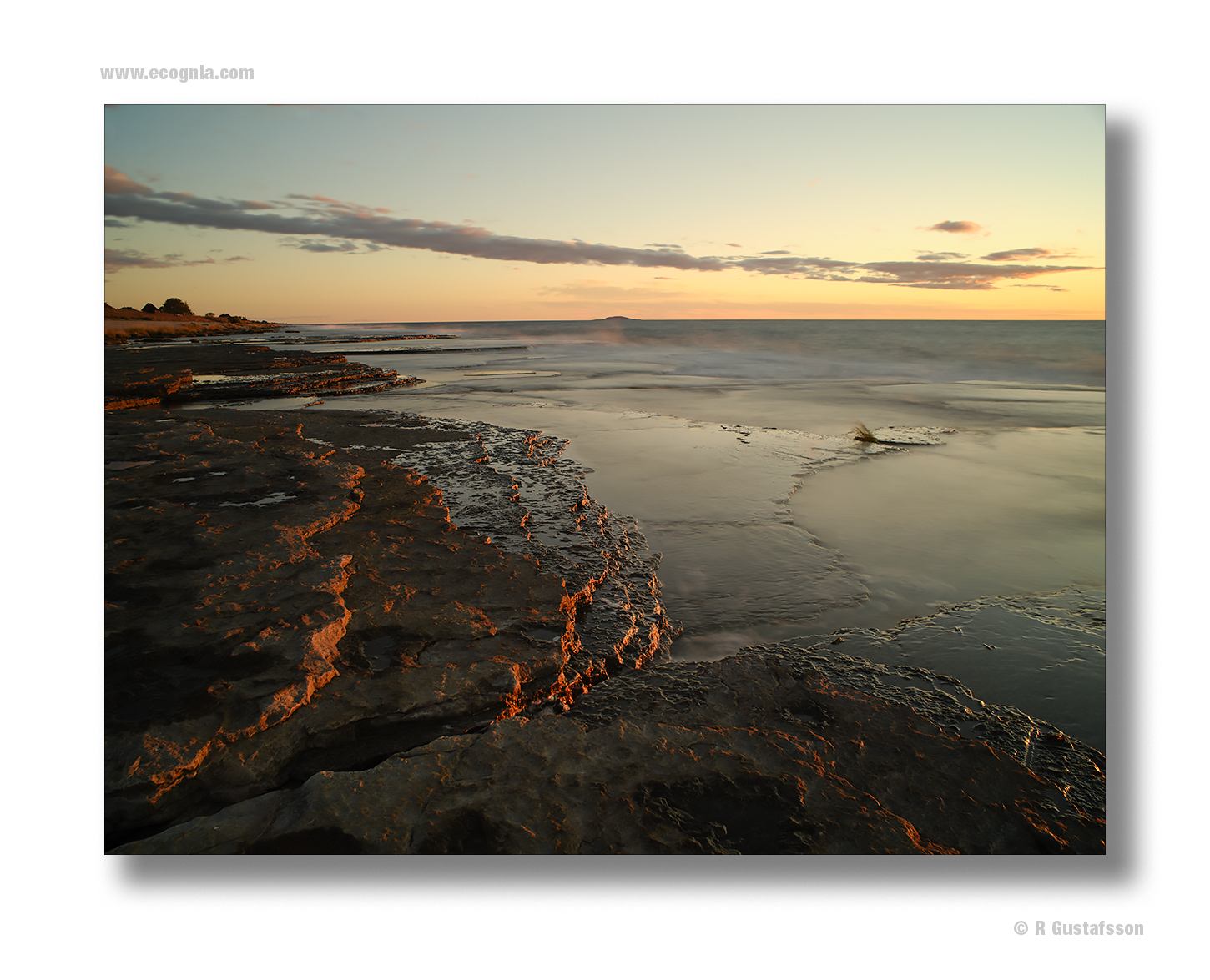 Öland_2020_9.jpg