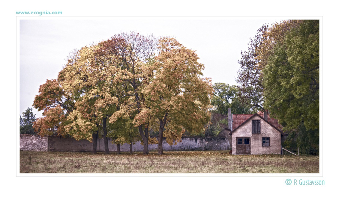 Gotland_1_.jpg