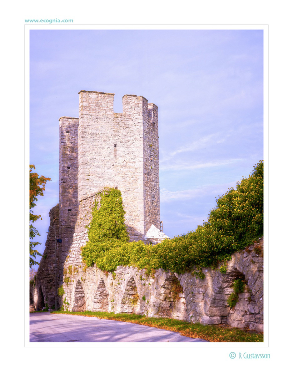 Gotland_11_.jpg