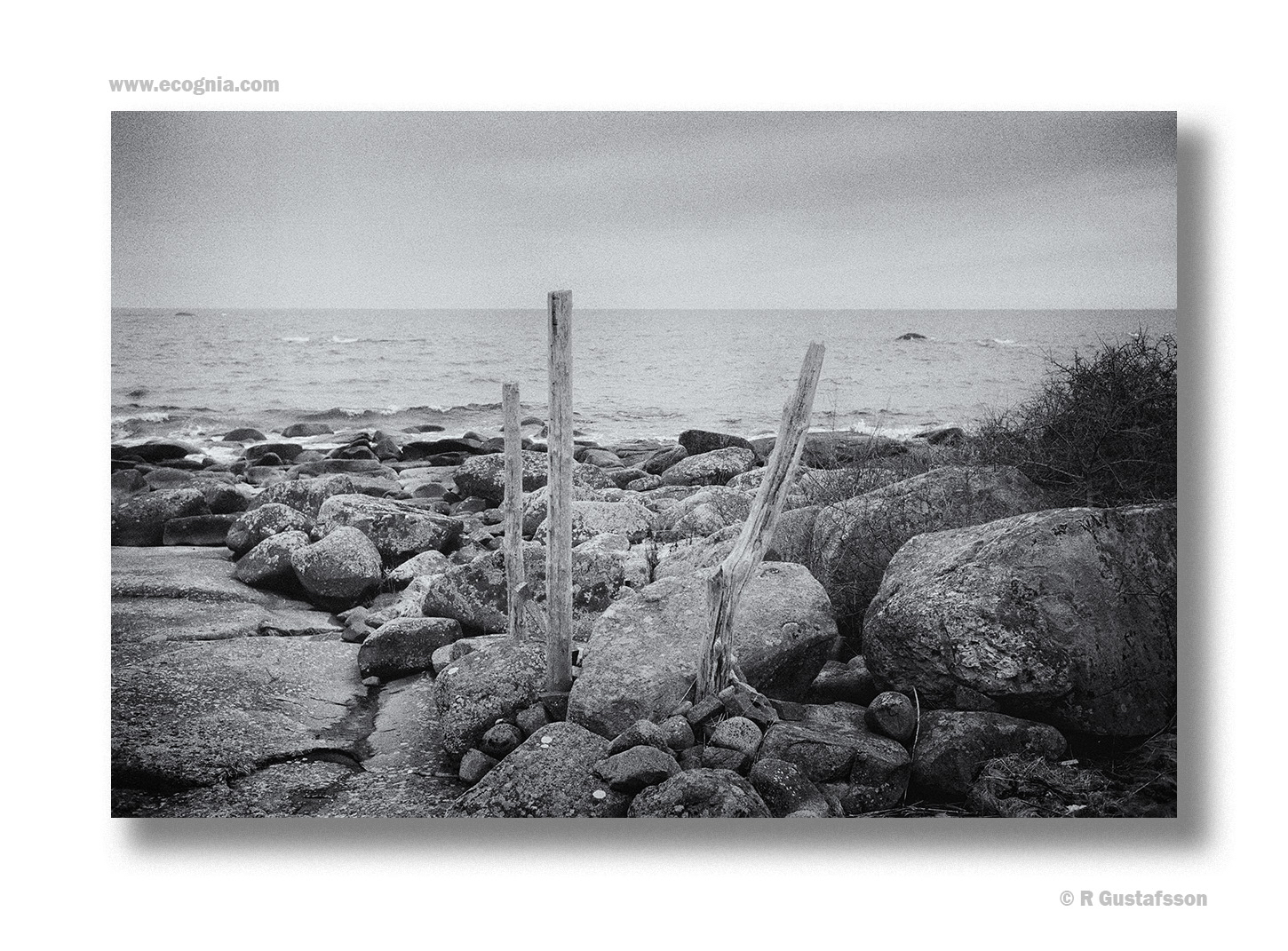 Blekinge_23_1.jpg