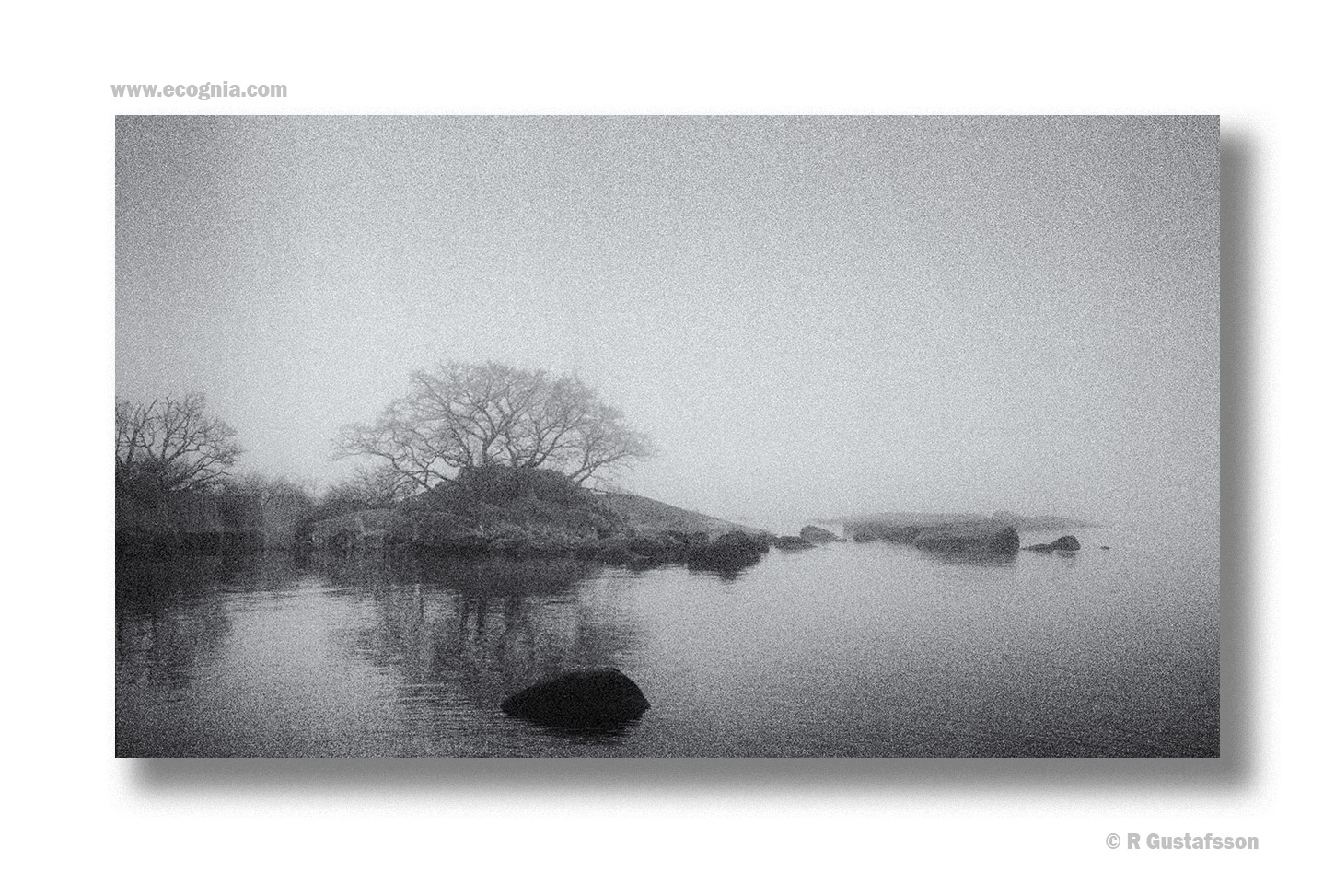 Blekinge_23_6.jpg