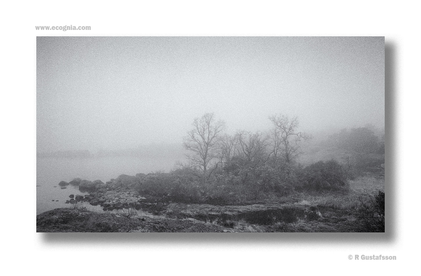 Blekinge_23_7.jpg