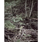 Soder_54B_.jpg