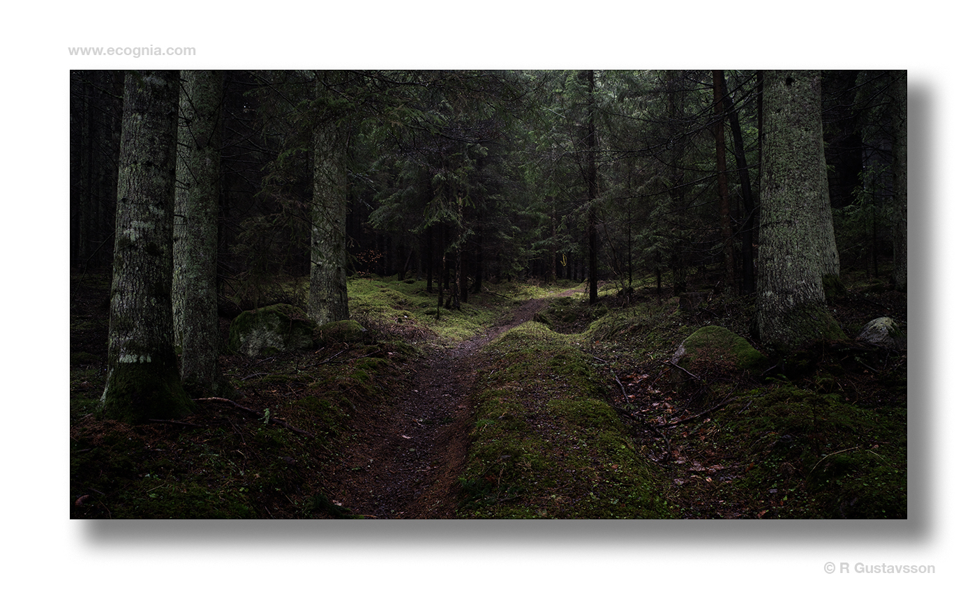 Omberg_41_.jpg