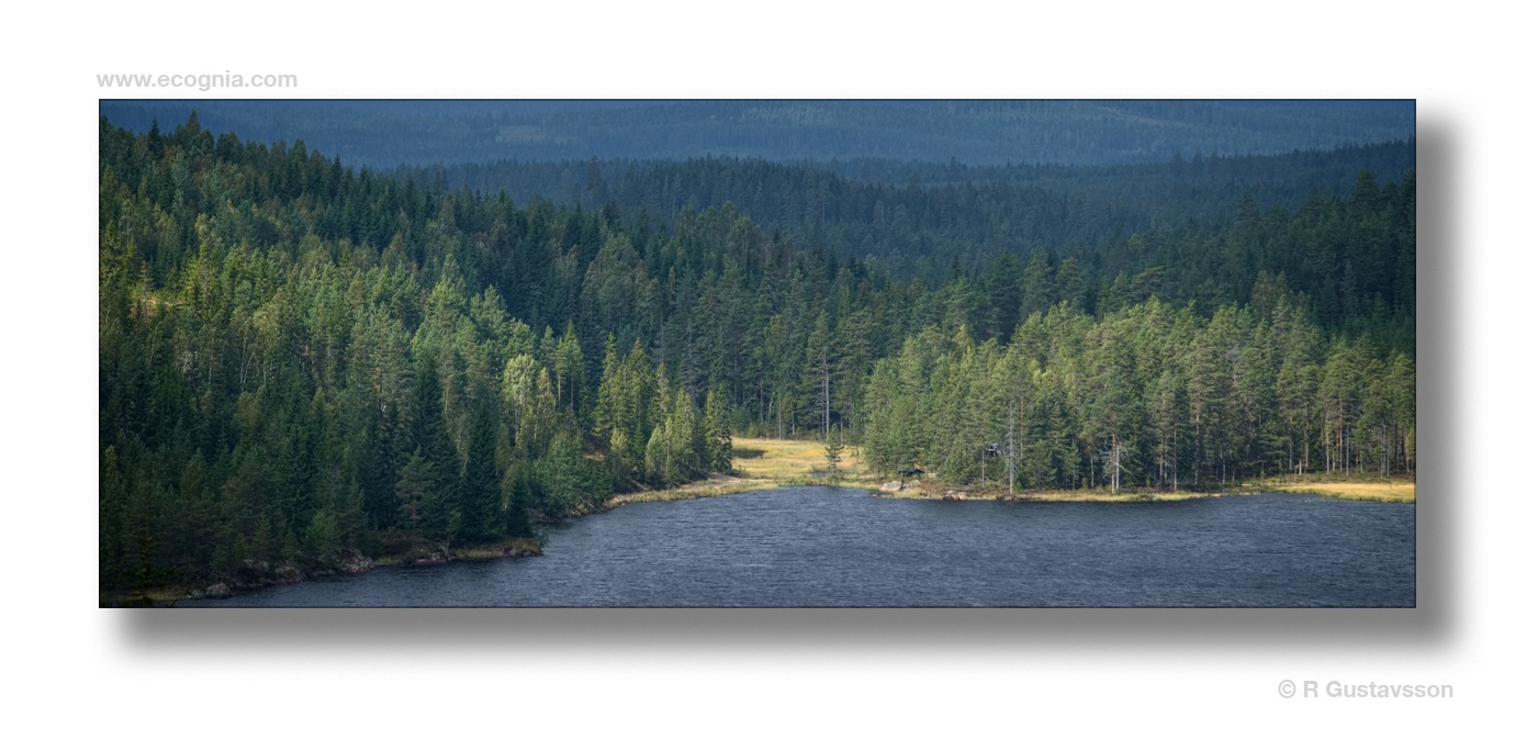 25km_23_.jpg