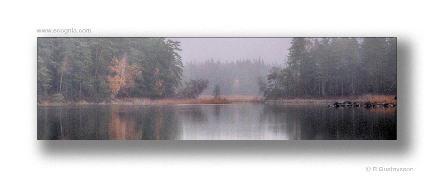 Travel_B73_.jpg